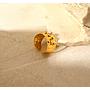 Anillo Niza