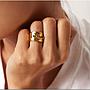Anillo Niza